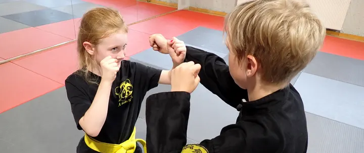 Budo-Club Viersen e.V. — kampfsport-studio in Clörather Mühle, Viersen — 2