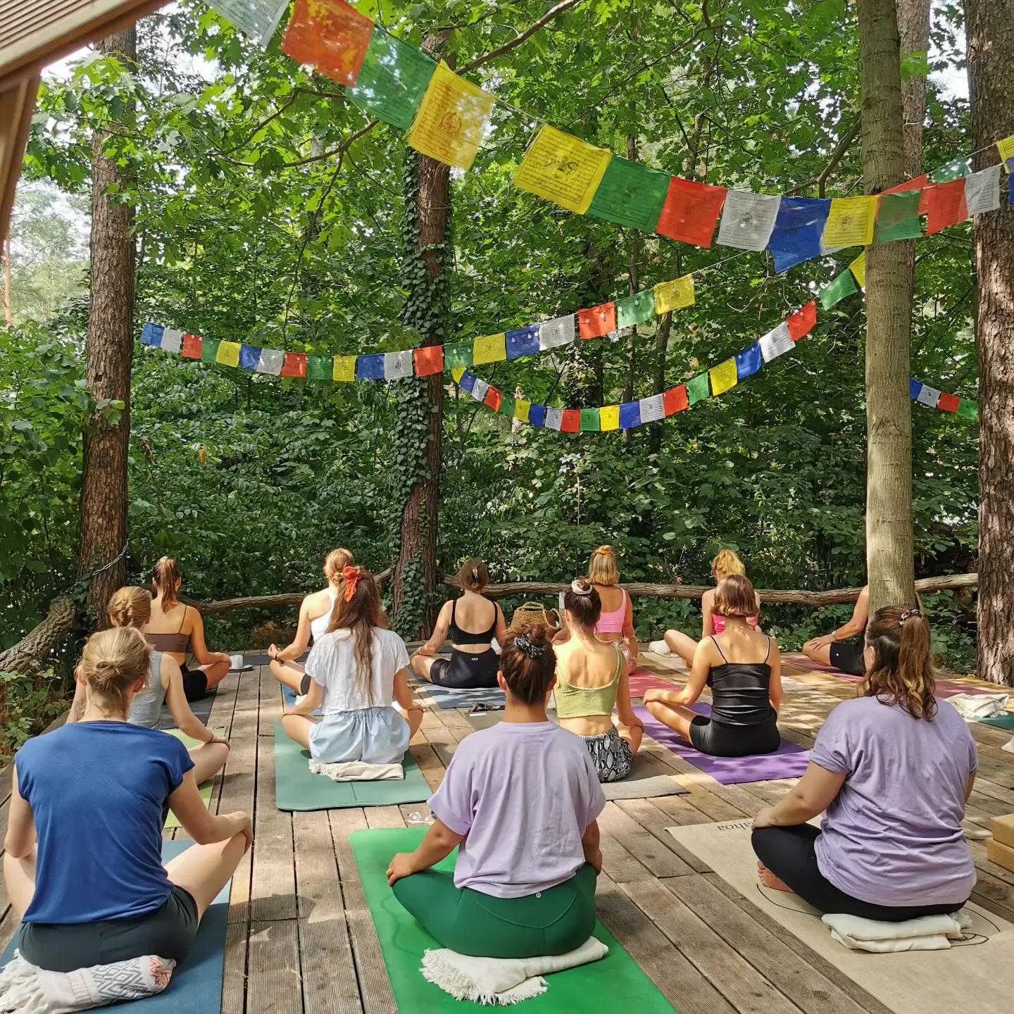 Feel Free Yoga - Volkspark Friedrichshain — yoga-studio i Berlin — 2