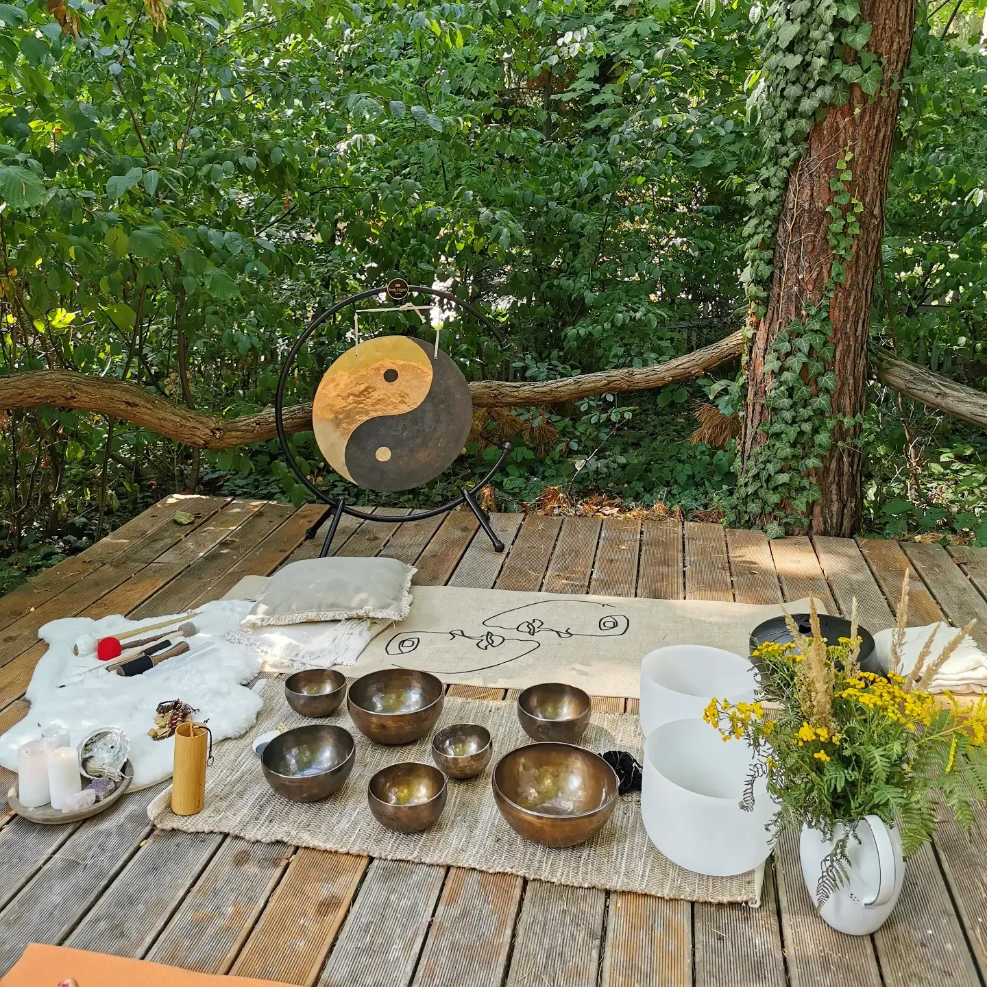 Feel Free Yoga - Volkspark Friedrichshain — yoga-studio i Berlin — 3