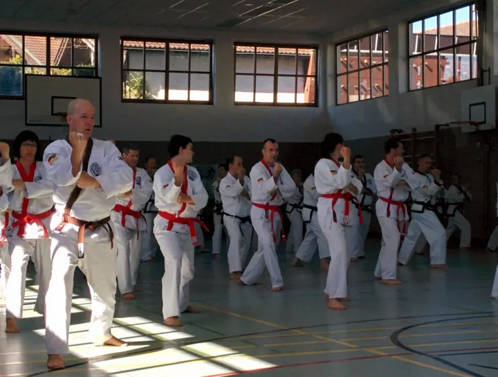 Deux Rivières Tang Soo Do — arts martiaux-studio à Oullins-Pierre-Bénite, Lyon — 2
