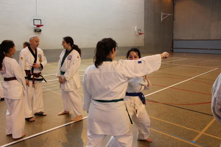 Deux Rivières Tang Soo Do — arts martiaux-studio à Oullins-Pierre-Bénite, Lyon — 3