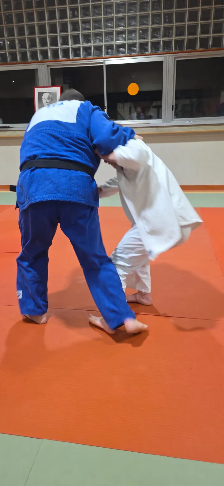 Judo club Ponteranica — arti marziali-studio a Ponteranica Alta, Ponteranica — 3