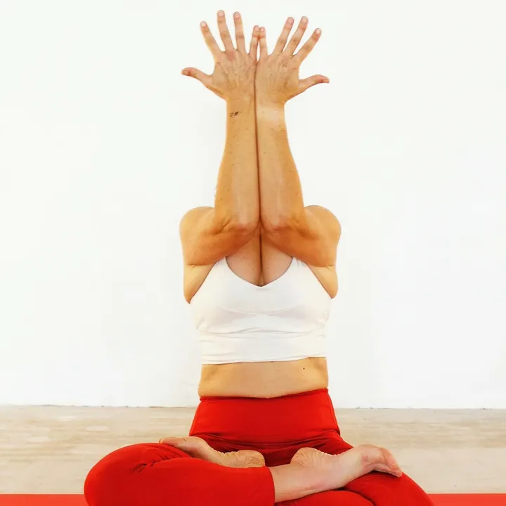 Pranam Yoga — yoga-studio en Valencia — 4