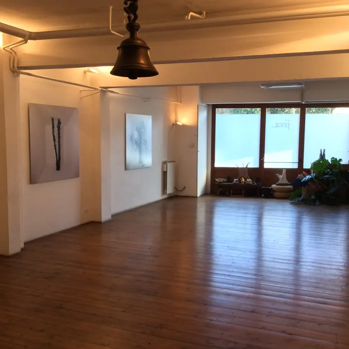 Jiva Yoga di Gabriele Gailli — yoga-studio a Firenze — 5