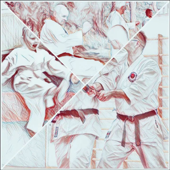 Lakeuden Karate-Jutsu — martial arts-studio i Kasperi, Seinäjoki