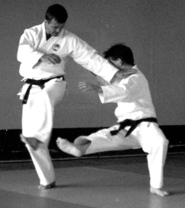 Goju Ryu — martial arts-studio in Hemel Hempstead — 4