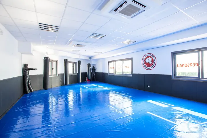 Sestito Academy Of Asd — arti marziali-studio a San Lorenzo, Bastia Umbra — 2