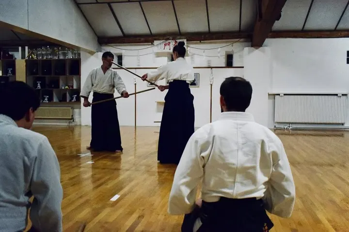 Akamon Aikido Académie — arts martiaux-studio à Saint-Étienne — 2