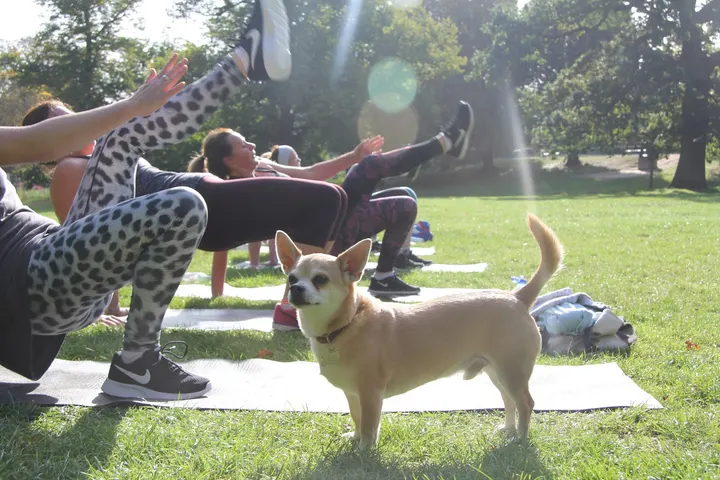 FitBirds - Crystal Palace Park — fitness studio in London — 4