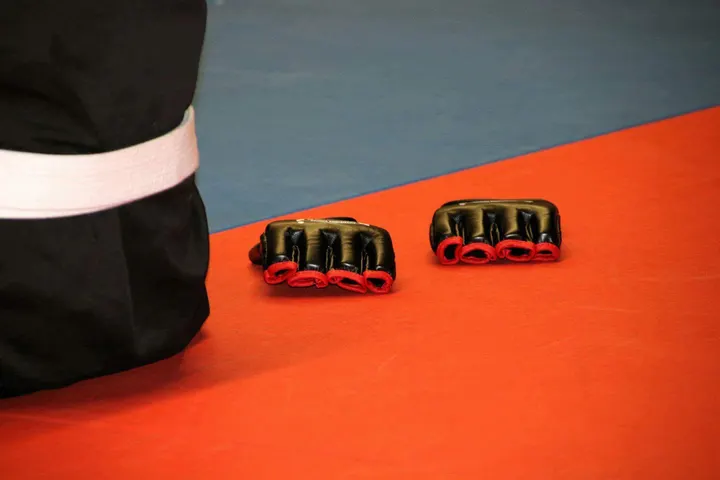 Sportschool Bushido Nieuwegein Allround-Selfdefence — Sportschool in Batau-Noord, Nieuwegein