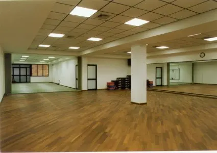 Nippon Club — Arti marziali a Marconi, Roma