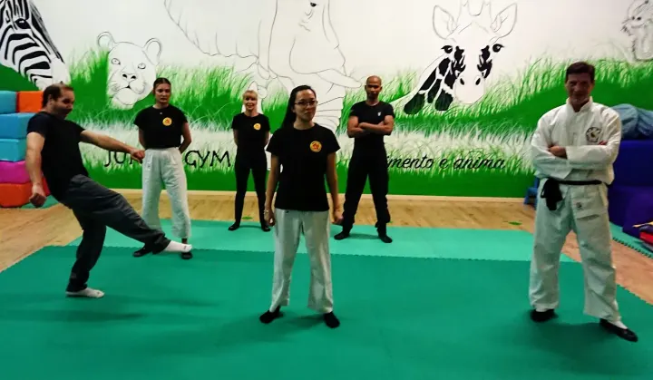 Scuola di Kung Fu Casale Monferrato — arti marziali-studio a Valentino, Casale Monferrato — 2