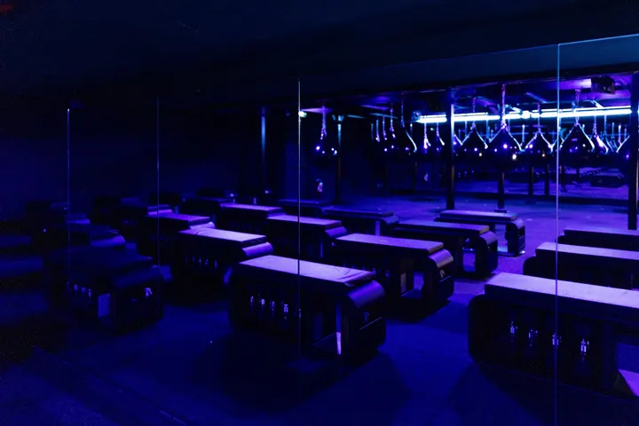 Le Cercle Boxing Boxe — Arts martiaux aux Brotteaux, Lyon