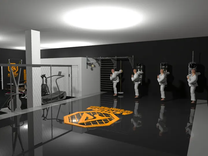 Ashura Performance Center — mma-studio à Chevilly — 4