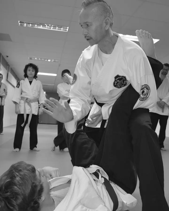 Shaolin Kempo Long Zeh — vechtsport-studio in Enschede — 2