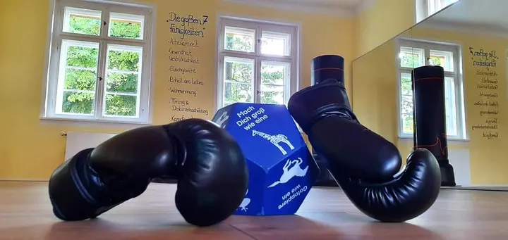 Sportschule DMA Schöneiche — kampfsport-studio in Schöneiche bei Berlin — 5