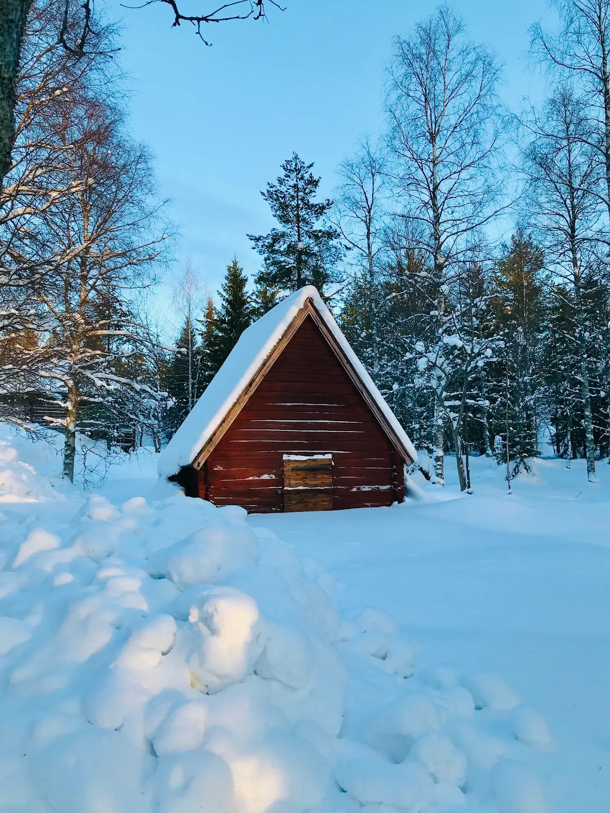 Gammlia dansbana — dans-studio i Umeå — bild 3