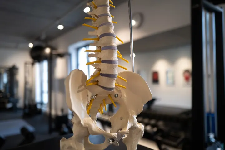 Training und Therapie Thomas Armbrecht — pt-studio in Darmstadt-West, Darmstadt — 2