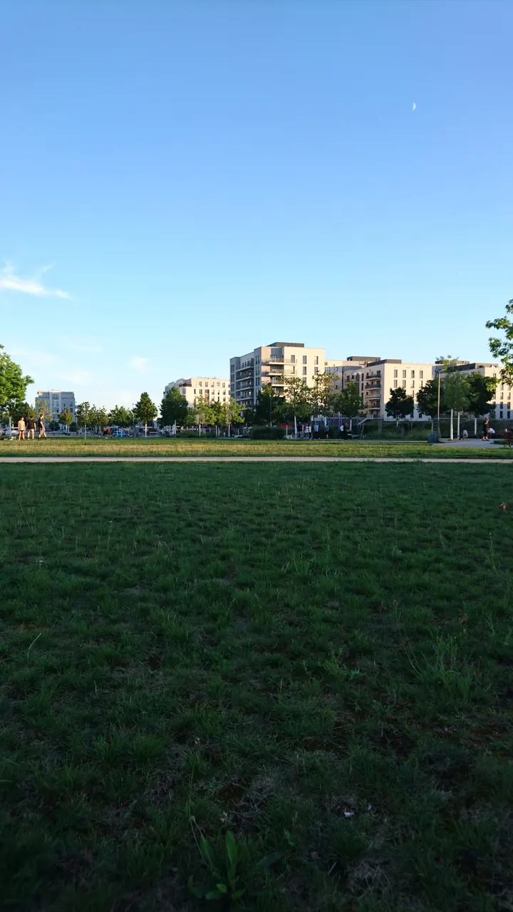 Outdoor Fitness Area — calisthenics-studio in Frankfurt am Main — 5