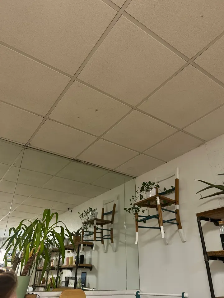 Aleafia Wellness Centre — wellness-studio in Barnstaple — 2
