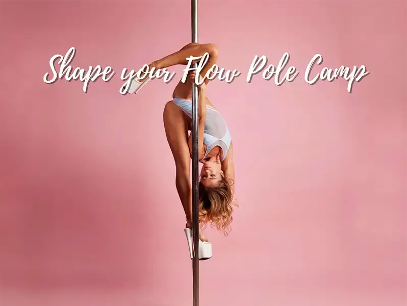 Pole Dance Rosenheim - Delía Studio — dans-studio i Rosenheim — 3