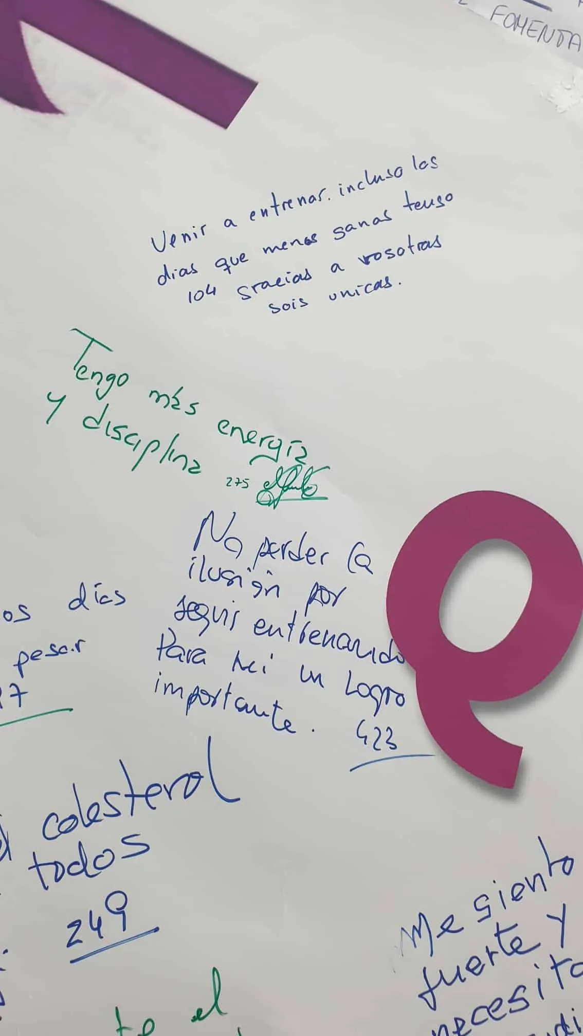 CURVES LOGROÑO — träningsstudio-studio i Logroño — bild 4