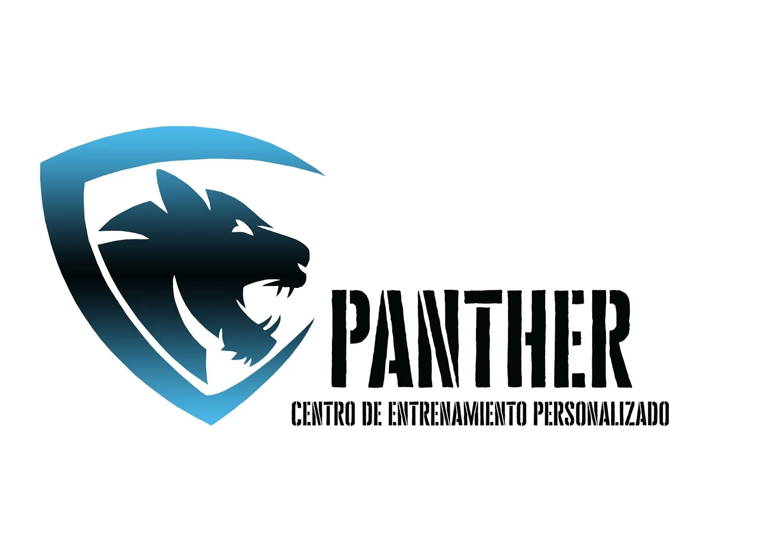 Centro De Entrenamiento Panther Guardamar — entrenamiento personal-studio en Guardamar del Segura — 4