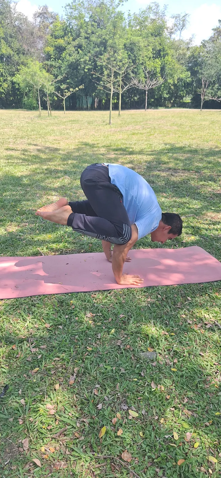 Clases de Yoga y Meditación — yoga-studio en Pozuelo de Alarcón — 3