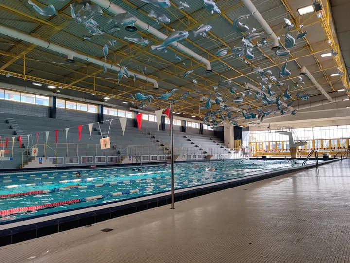 Piscine Léo Lagrange — studio à Gloriette - Feydeau, Nantes — 3