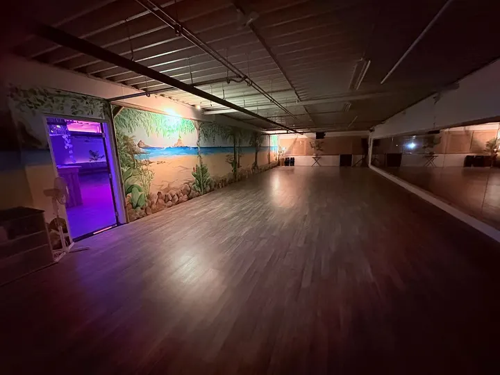 Dansschool La Bahia — dans-studio in Dronten — 3