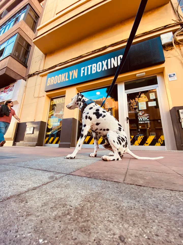 Brooklyn Fitboxing Las palmas canteras — Artes marciales en Guanarteme, Las Palmas de Gran Canaria