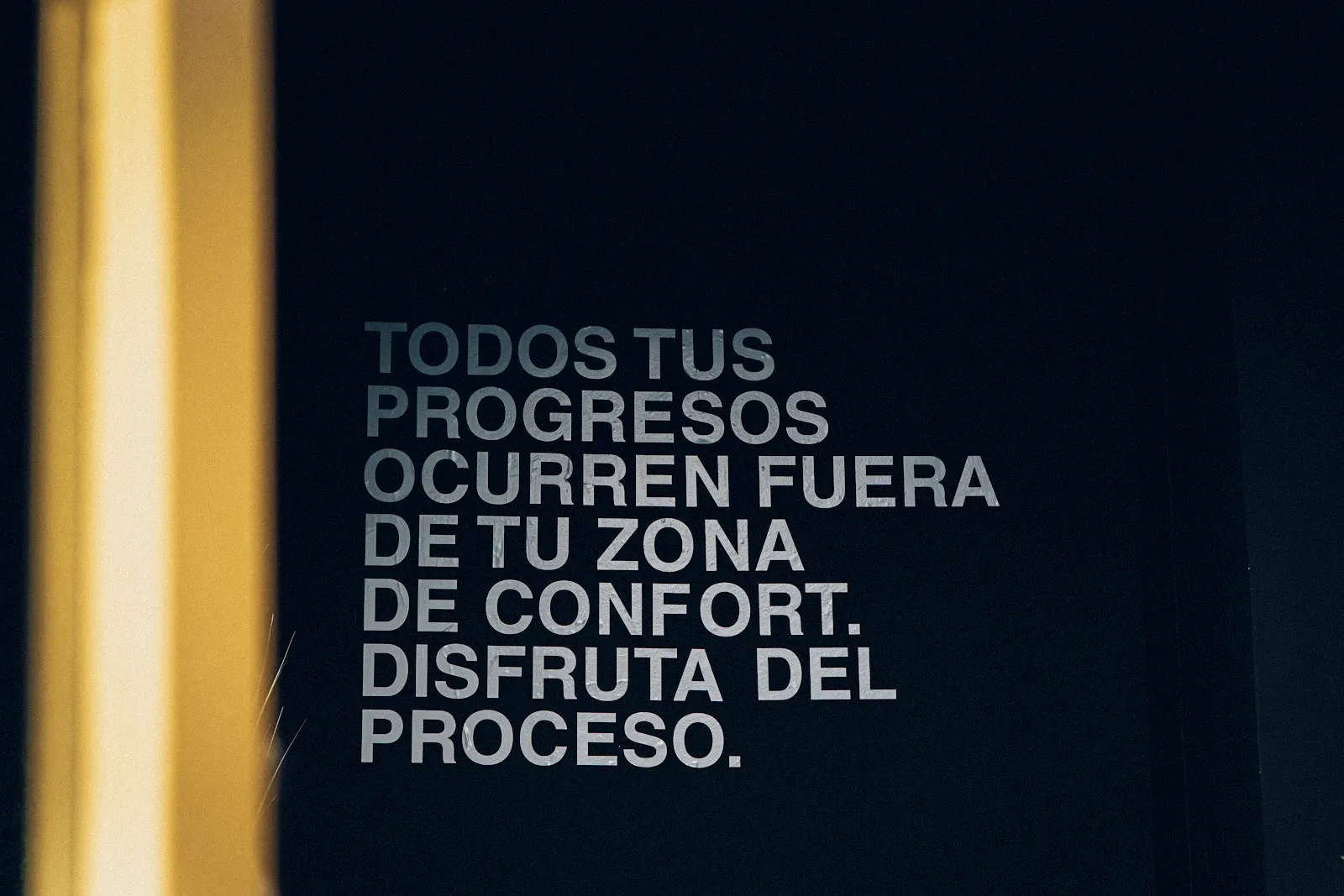 Zona funcional fitness — estudio de fitness-studio en Almassora — 3