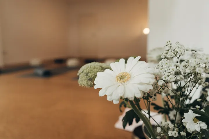 Yoga Nidhana — yoga-studio in Duisburg-Süd, Duisburg — 3