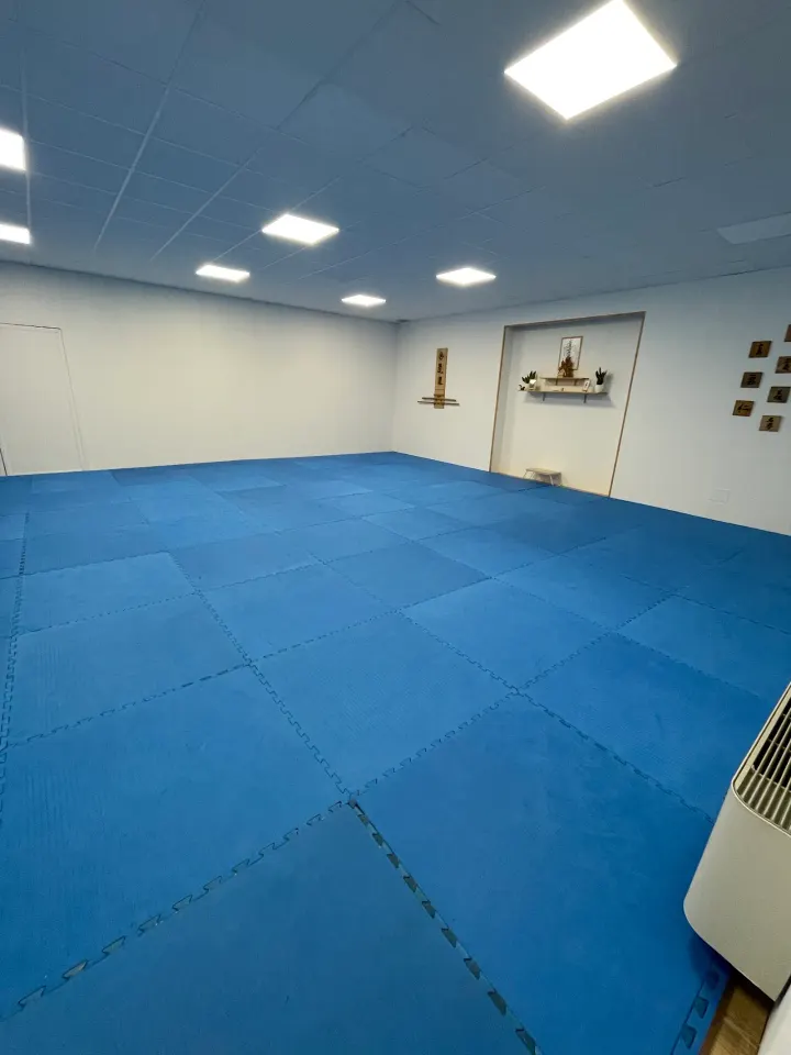 Snap Jiu Jitsu — bjj-studio a Parma — 3