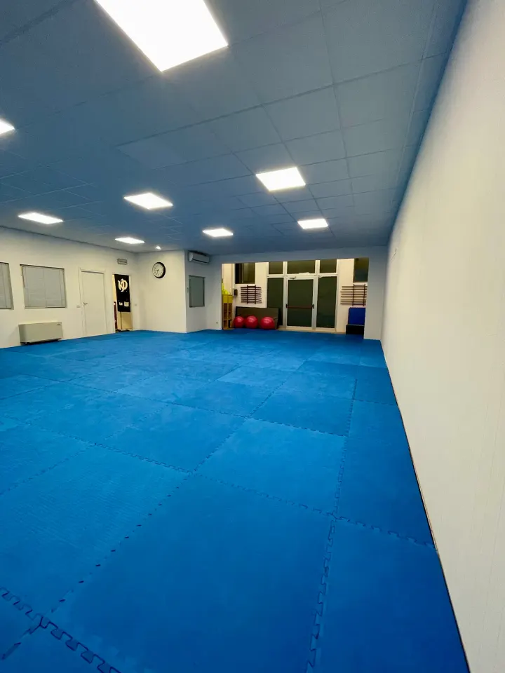 Snap Jiu Jitsu — BJJ a Cortile San Martino, Parma