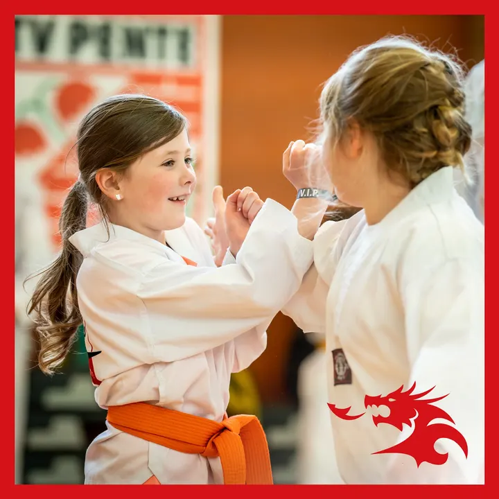 Shindo Selbstsicherheitsschule Melle — kampfsport-studio in Melle — 2