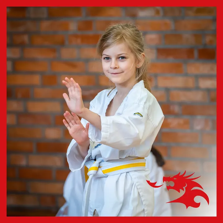 Shindo Selbstsicherheitsschule Melle — kampfsport-studio in Melle — 4