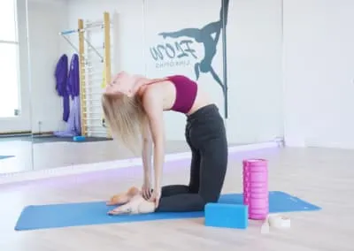FLOWStockholm — pole fitness-studio in Södermalm, Stockholm — 3