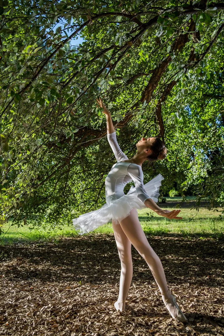 Arte Danza Bologna — danza-studio a Galvani, Bologna — 3