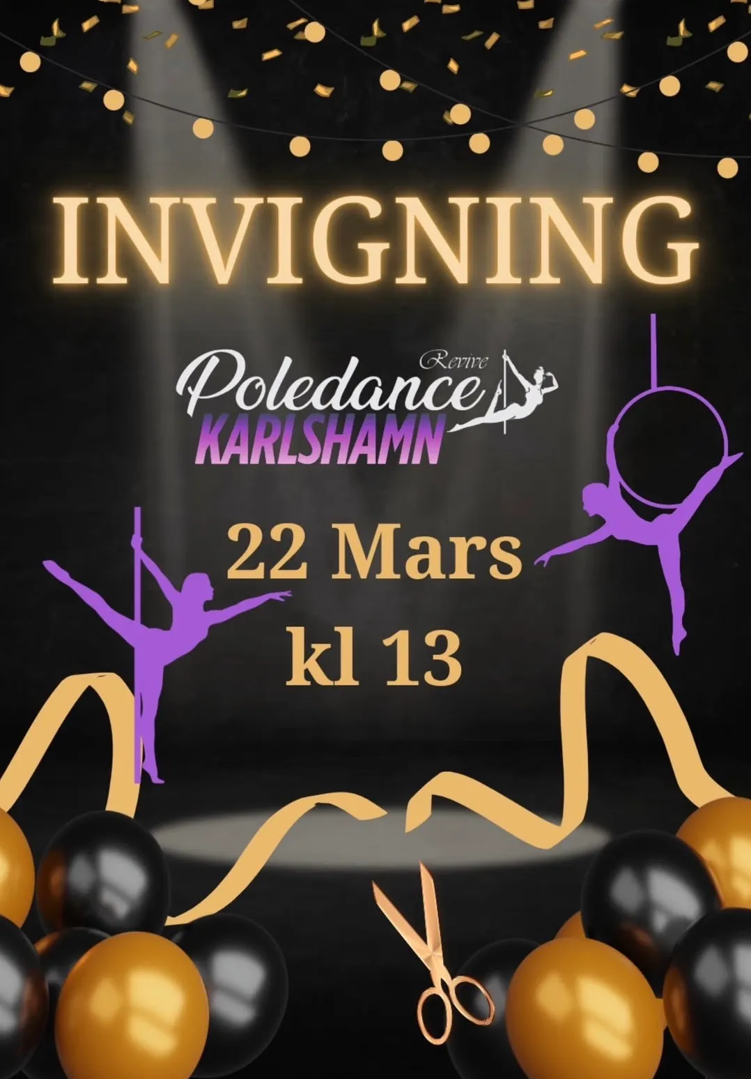 Revive Poledance Karlshamn — pole fitness-studio i Karlshamn — bild 3