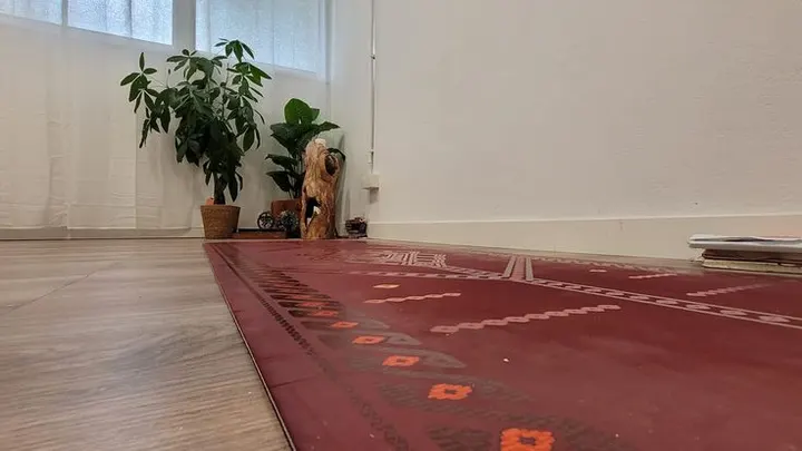 Yoga Kula Studio — yoga-studio em Benfica, Lisboa — 2