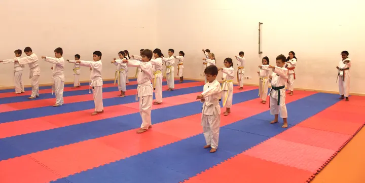 CKTC — Artes marciais em Caniço