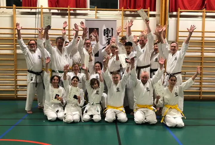 Gojukai Seinan Karateklubb — Kampsport i Aspudden, Stockholm