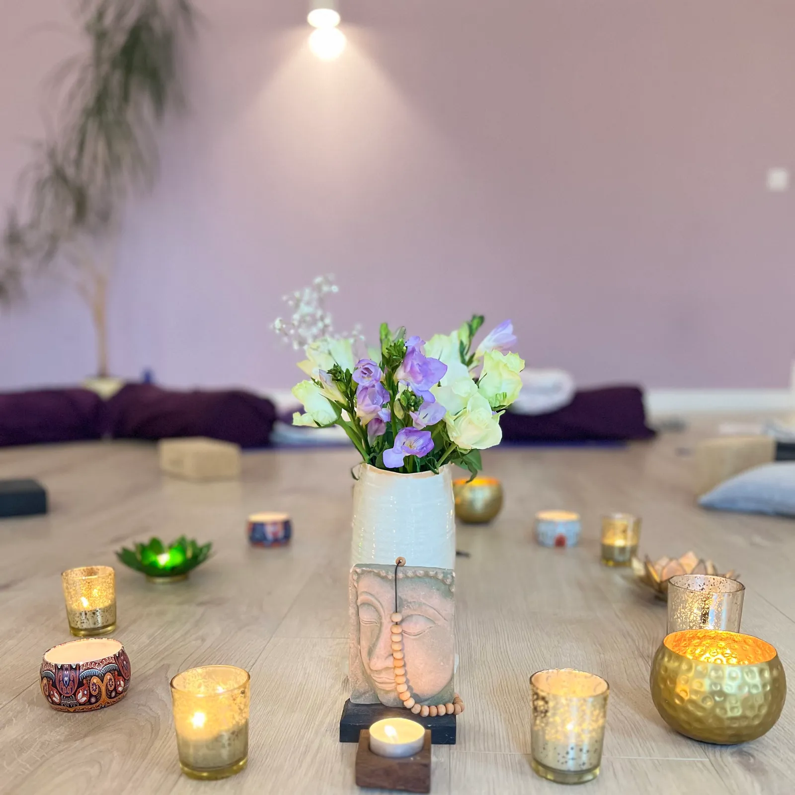 Be Yoga Sussex — hot yoga-studio in Southdowns Park, Haywards Heath — 3