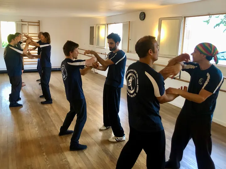 Thierry Cuvillier Wing Chun Kung-Fu — arts martiaux-studio à Montpellier — 5