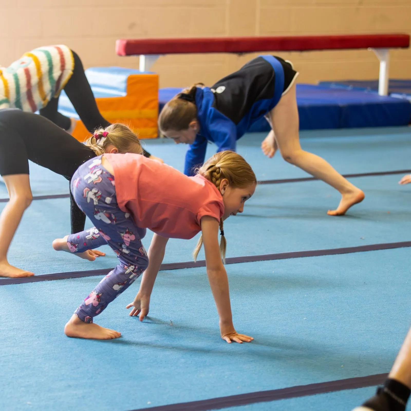 Springfit Gymnastics Club, Copthorne — gymnastics-studio in Crawley — 5