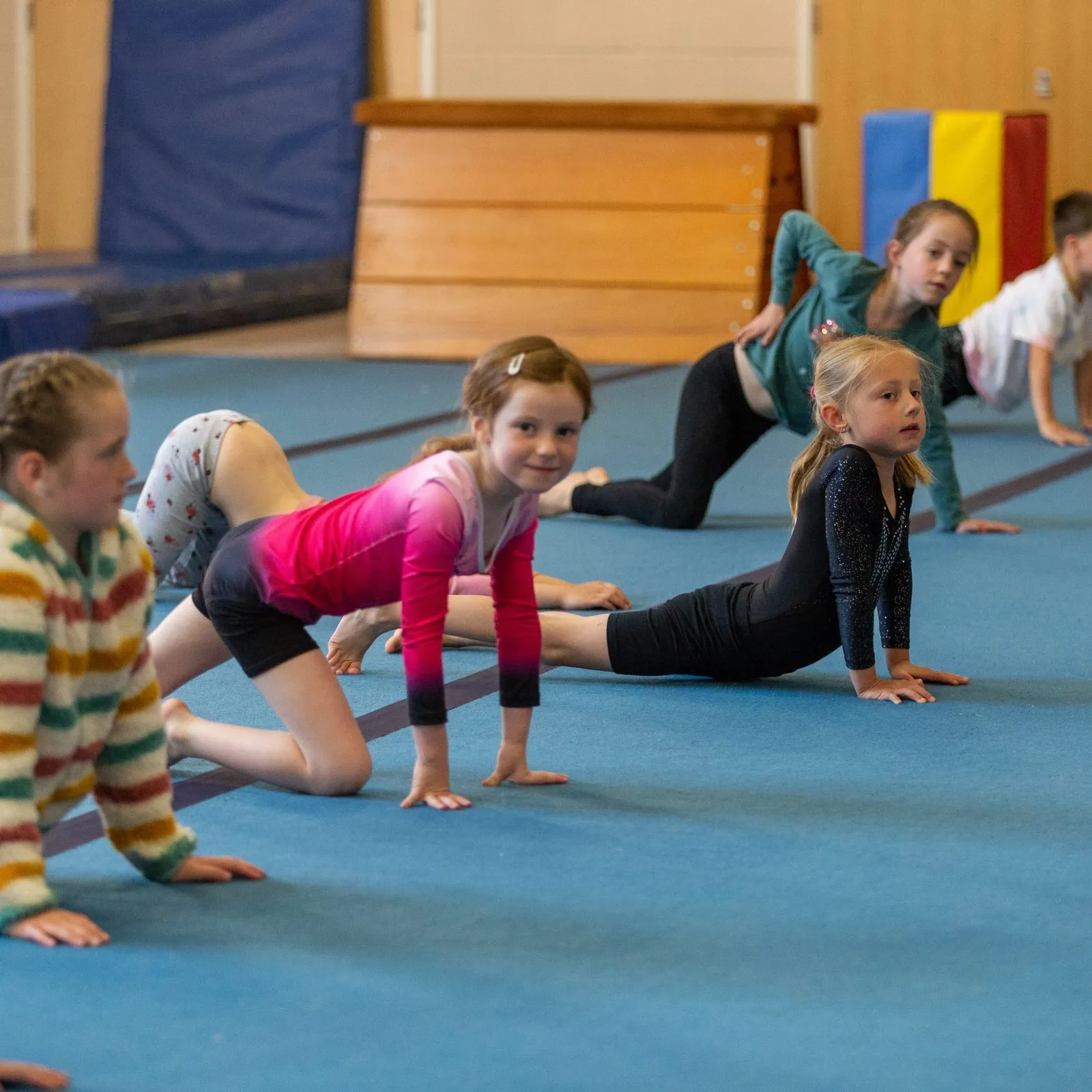 Springfit Gymnastics Club, Copthorne — gymnastics-studio in Crawley — 6