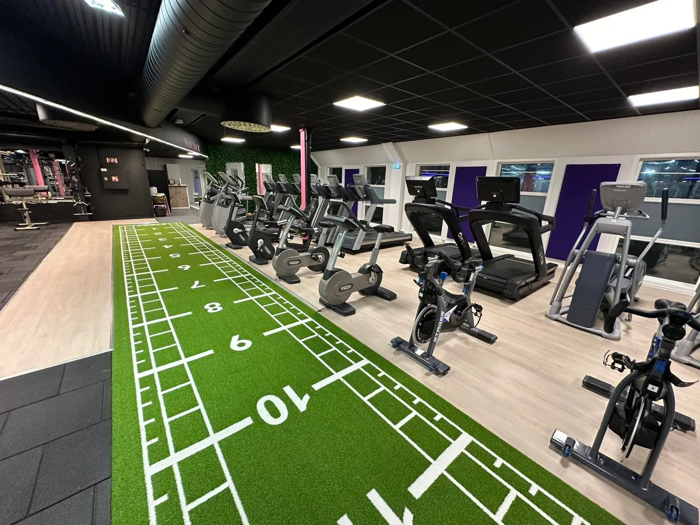A.C.E Xpress Mysen — pt-studio i Mysen — 2