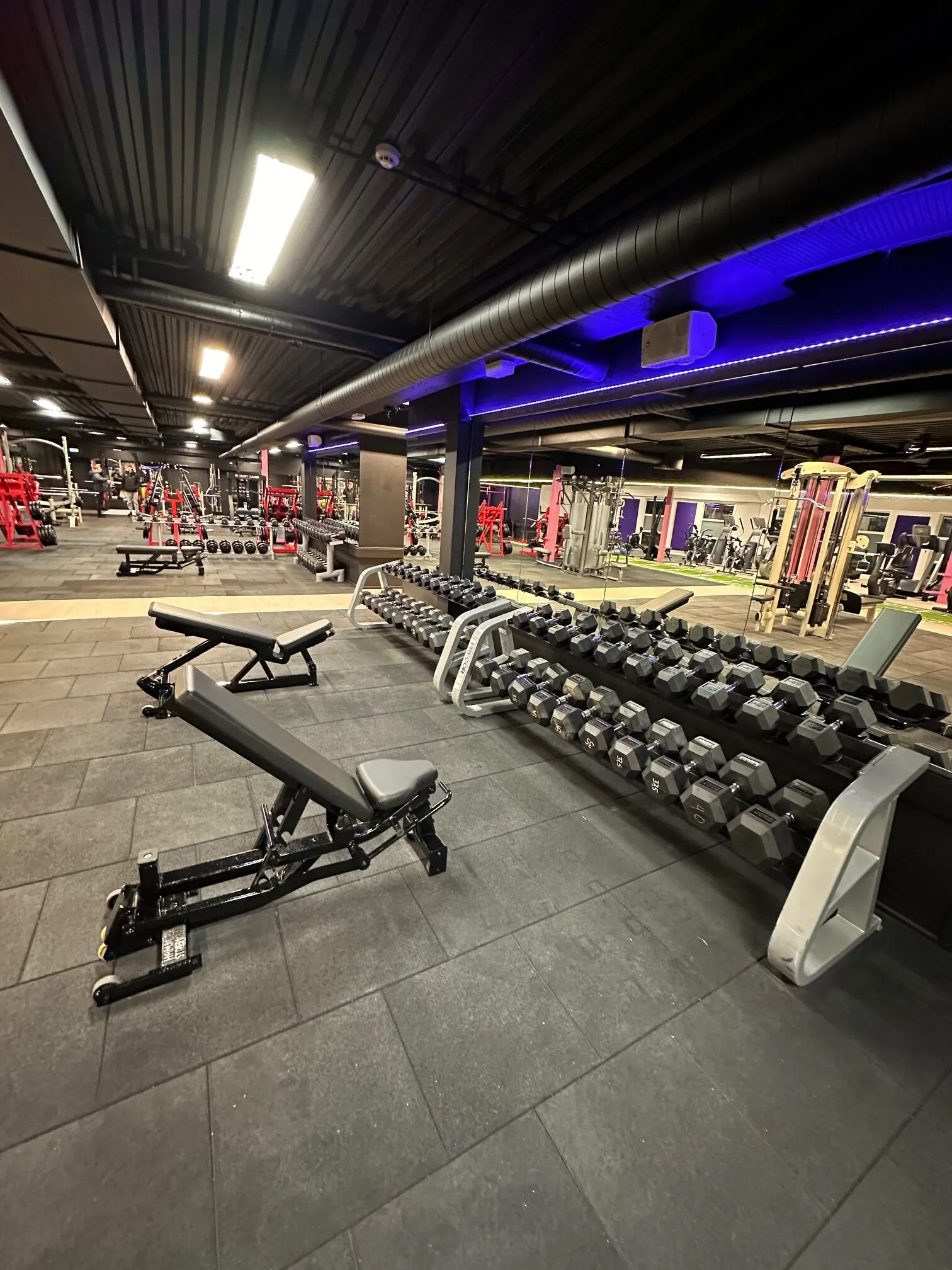 A.C.E Xpress Mysen — pt-studio i Mysen — 3