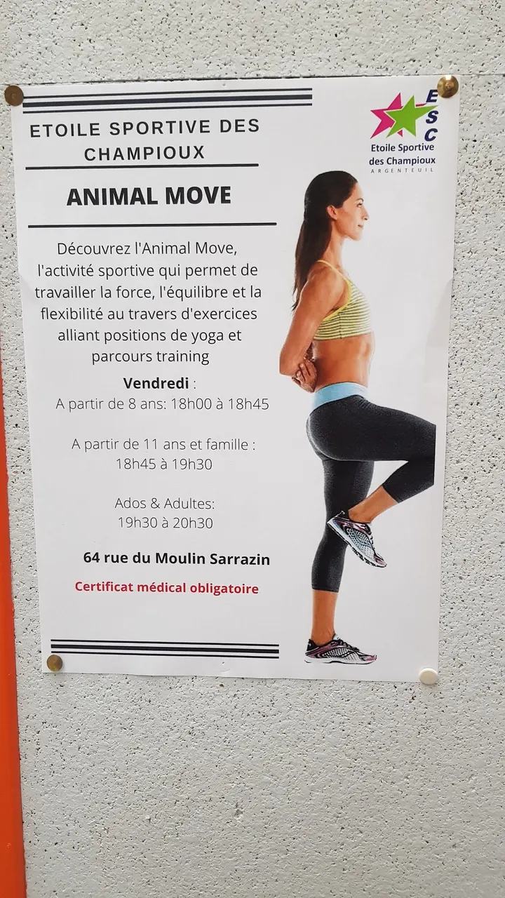 Etoile Sportive des Champioux — jjb-studio à Argenteuil — 4